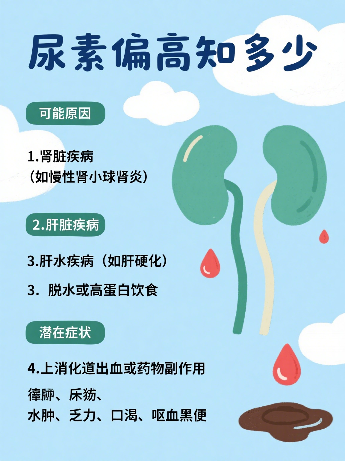 尿素氮偏低有什么影响?