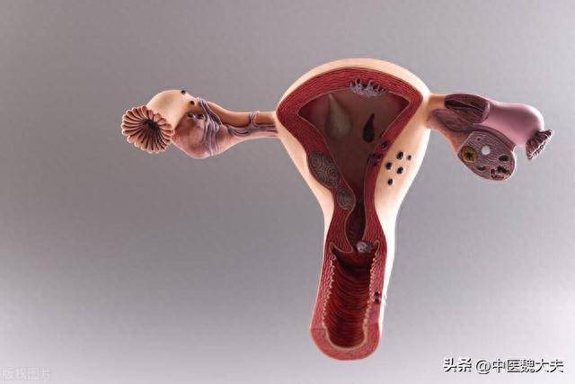 女人的阴到就近有多长,