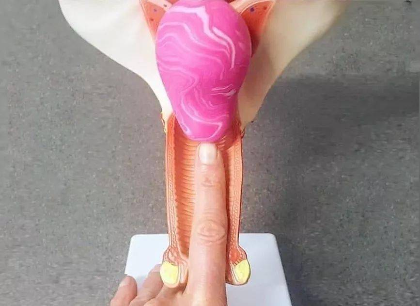 女人的阴到就近有多长,