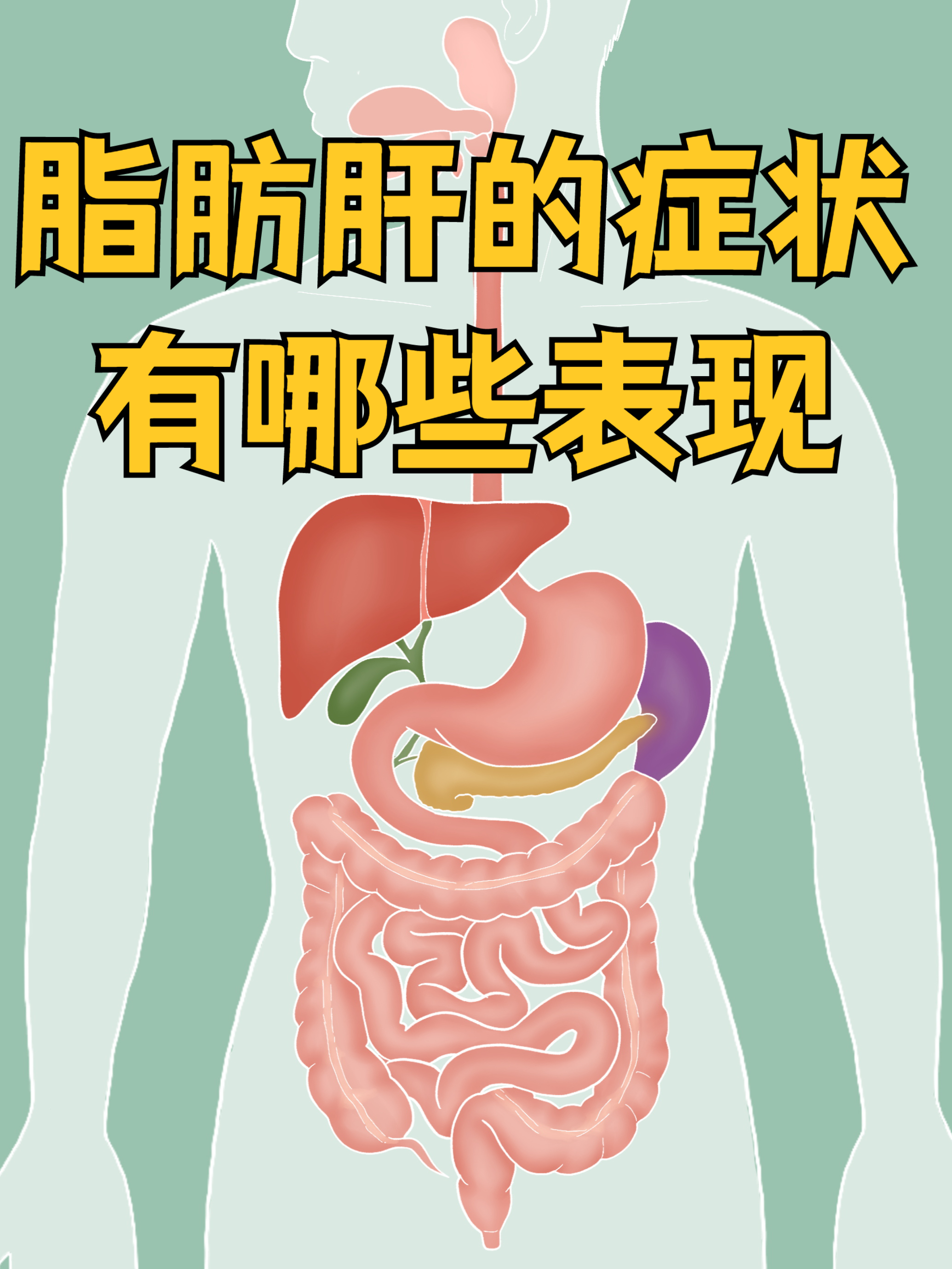 脂肪肝的症状有哪些?