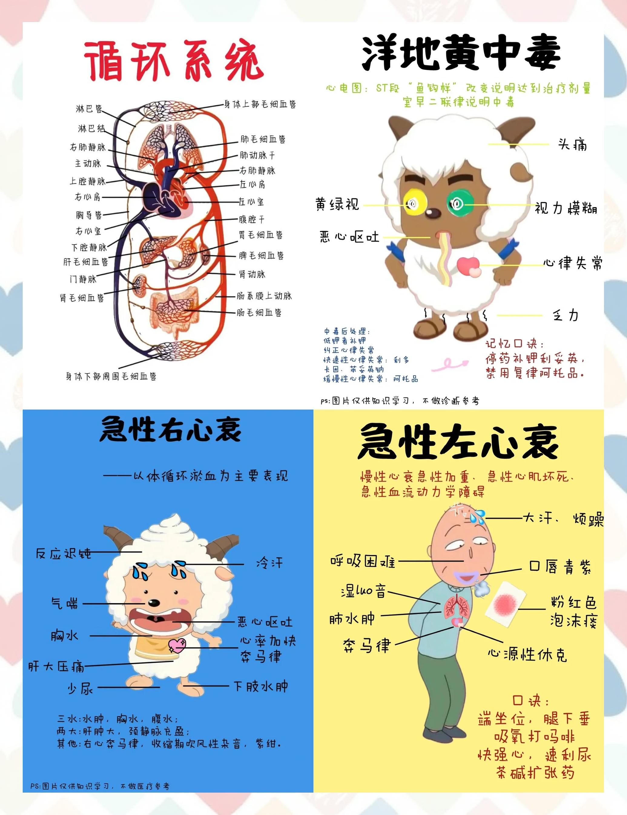 什么是循环系统