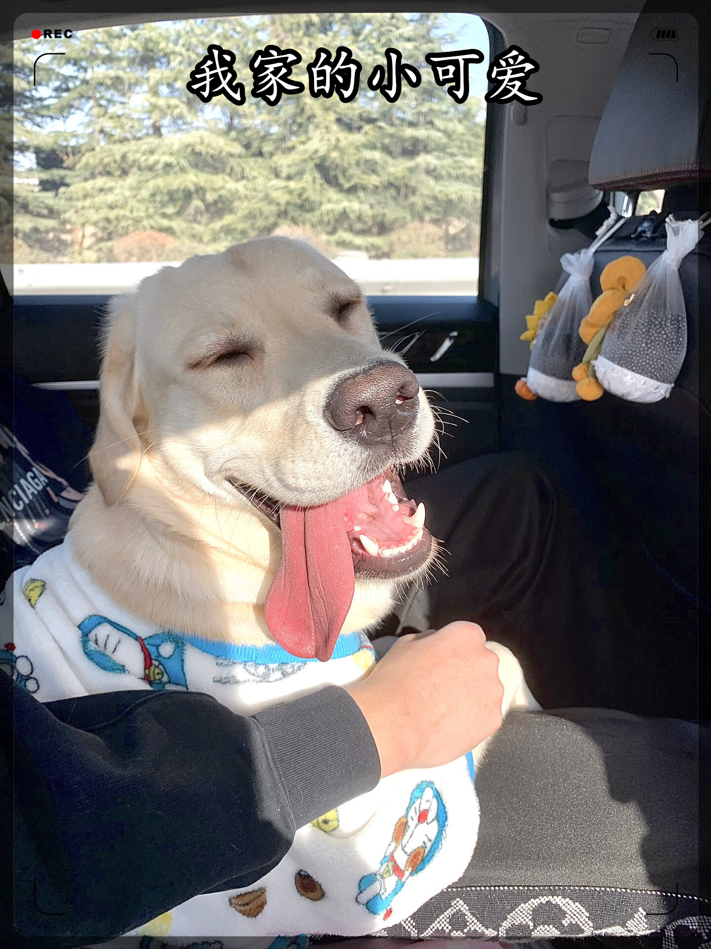 啦咯啦咯啦咯了?好啊好啊好啊好啊好啊好啊好啊好啊好