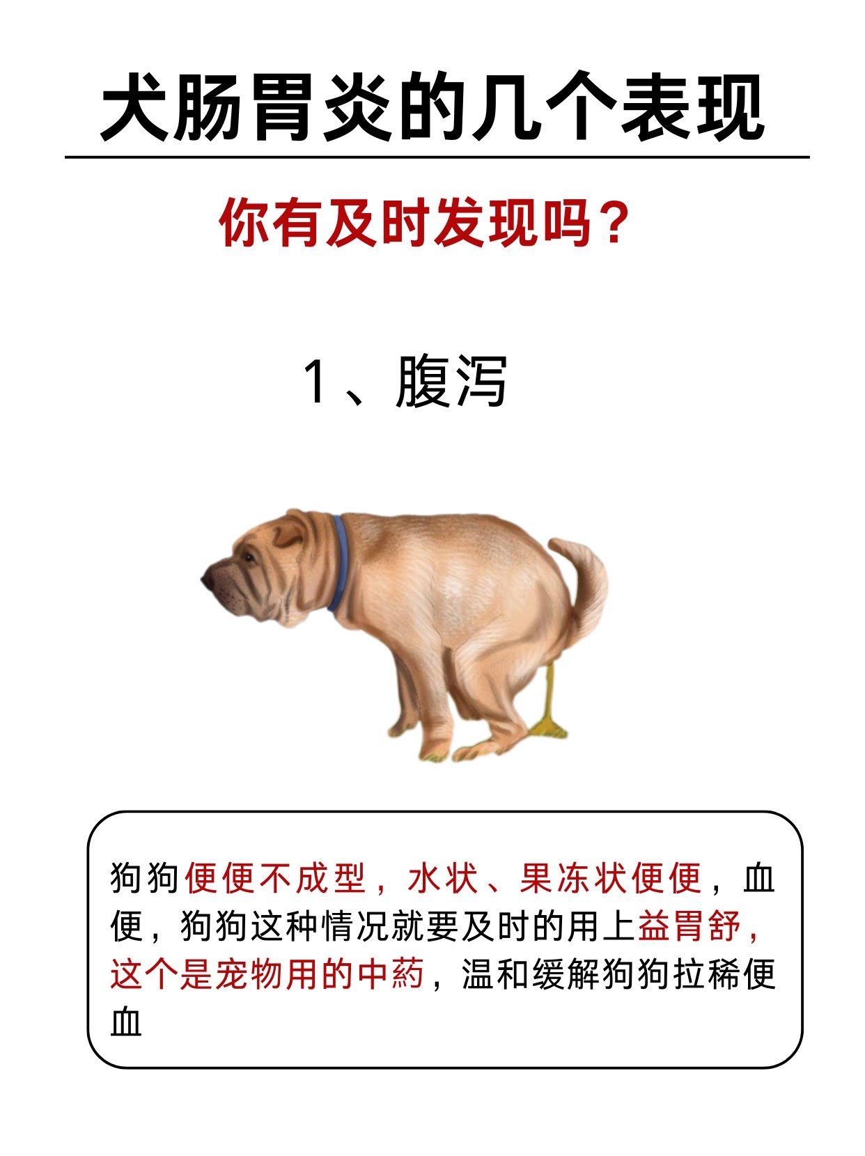 慢性肠炎的症状有几种