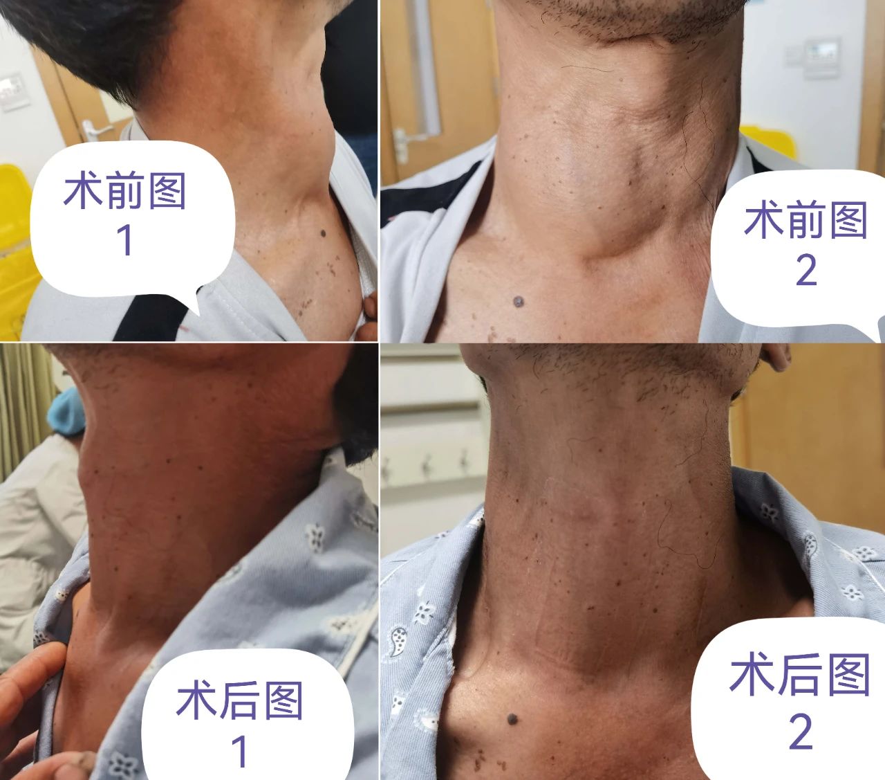 2026年1月3日 第49页