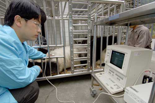 b超能检查出什么