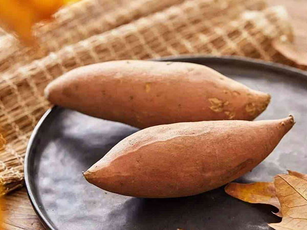 2026年1月3日 第3页