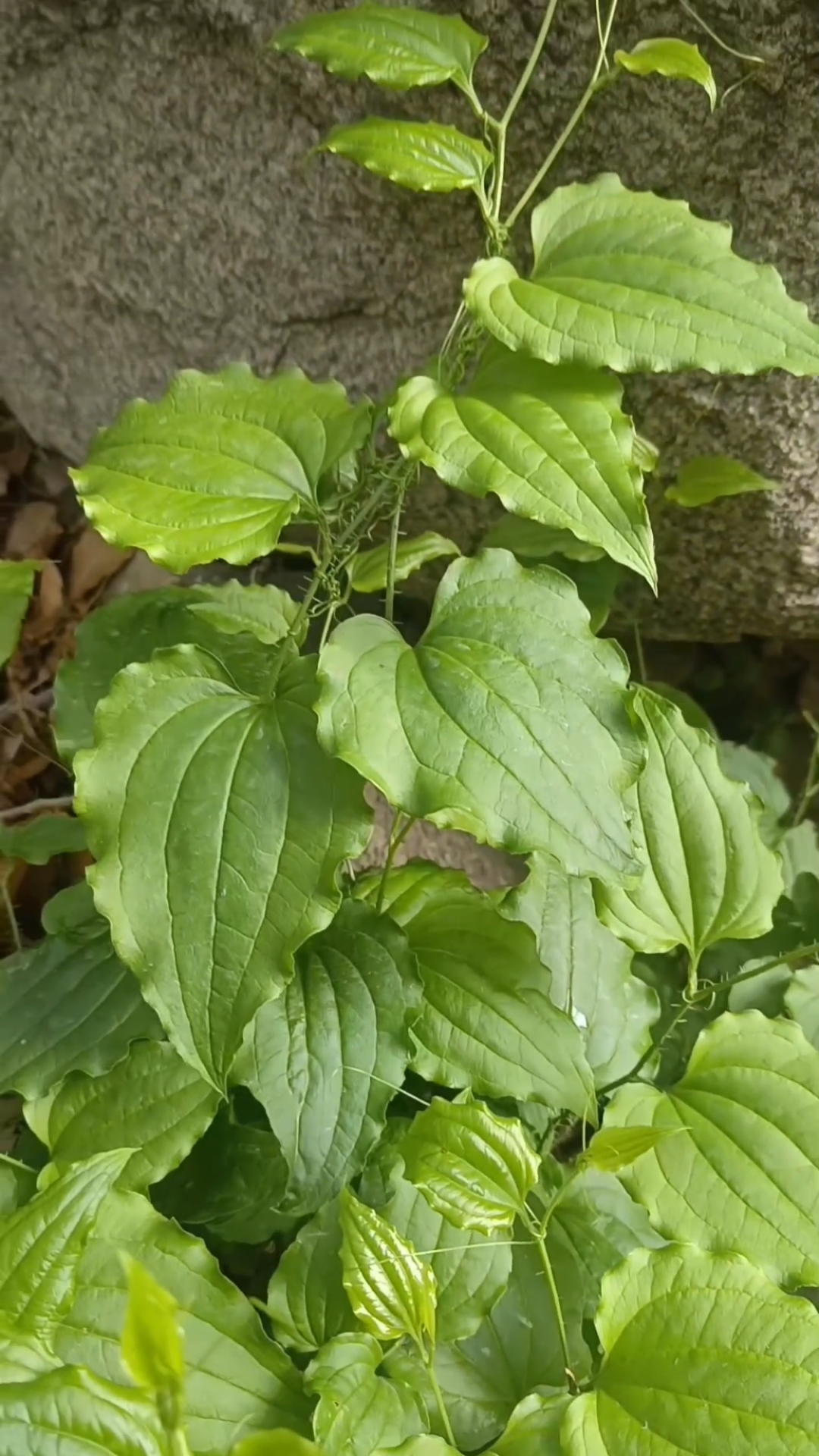 2026年1月3日 第10页