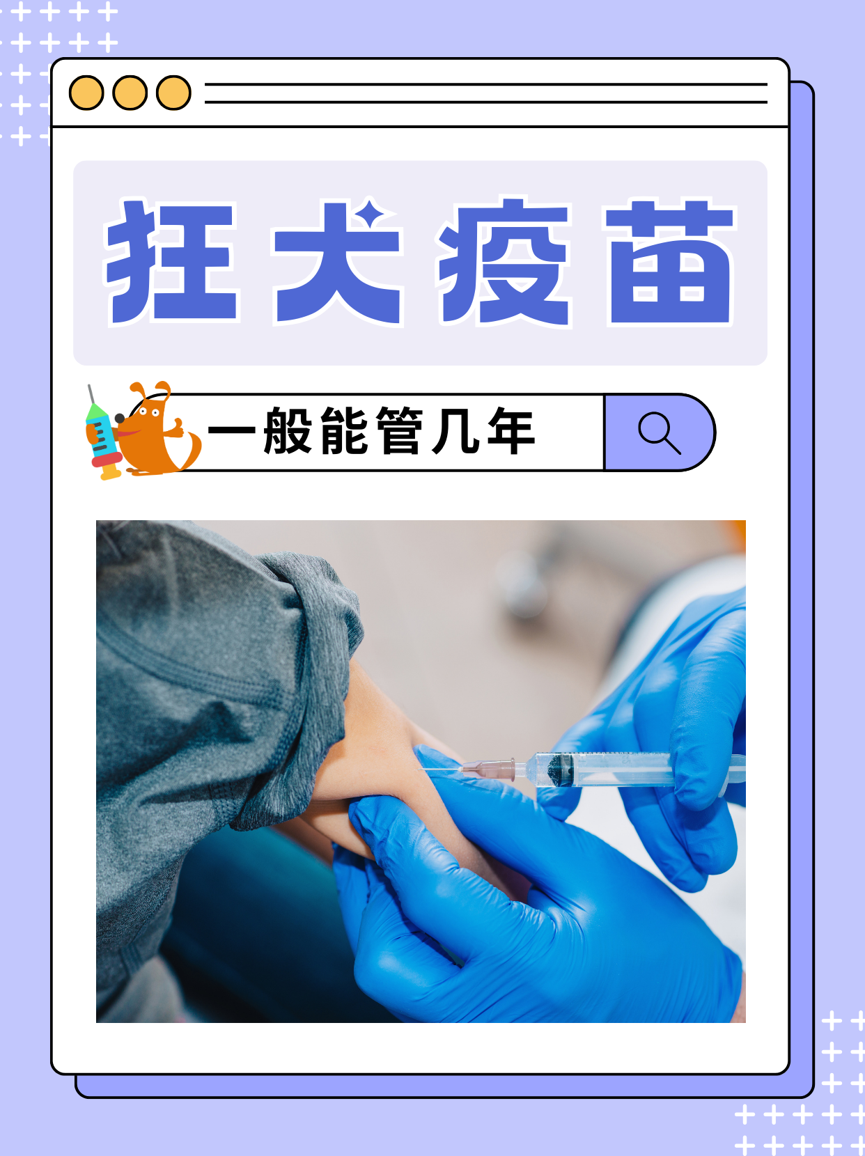 打狂犬疫苗能吃鸡蛋吗