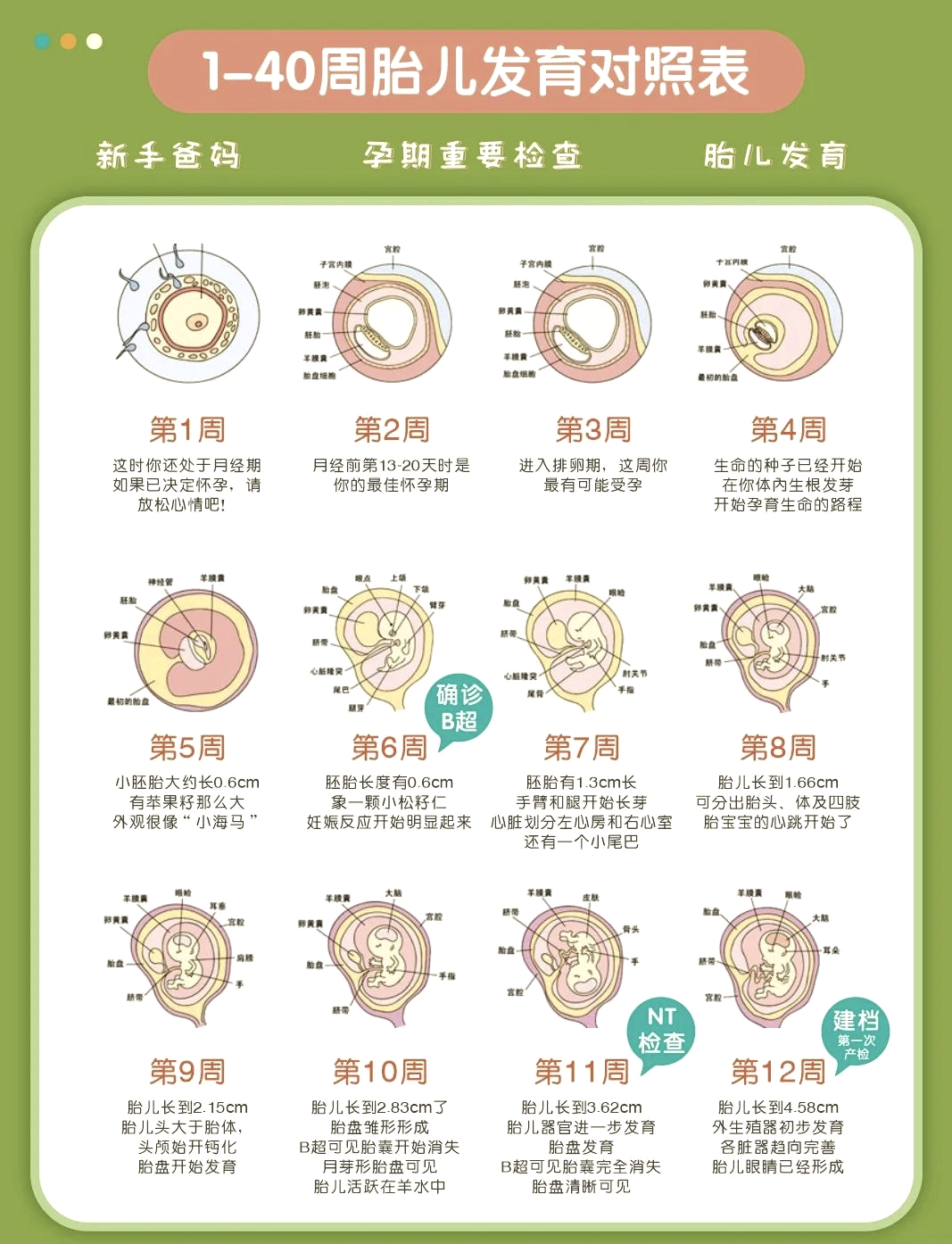 怀孕多少周生产