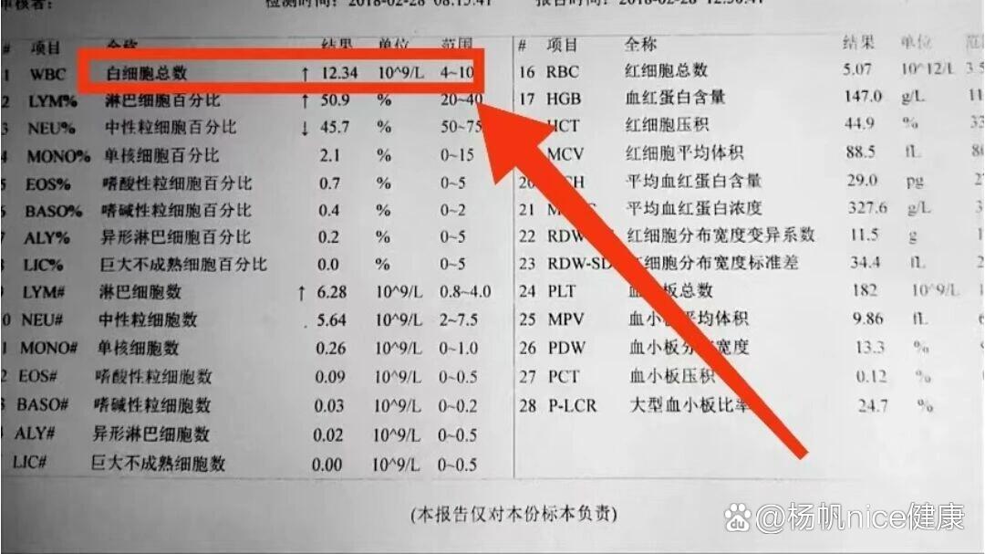 血常规白细胞偏低是怎么回事