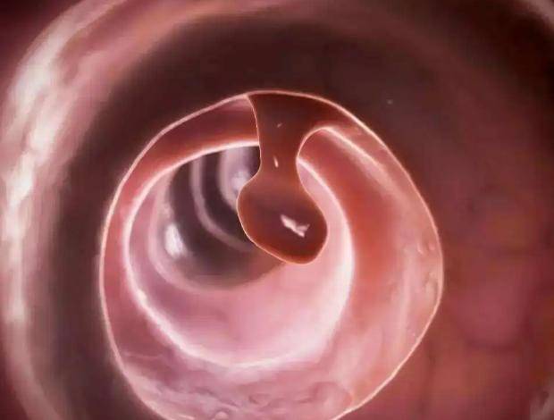 2026年1月4日 第50页