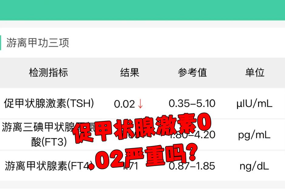 2026年1月4日 第49页