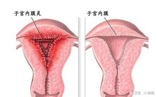 2026年1月4日 第48页