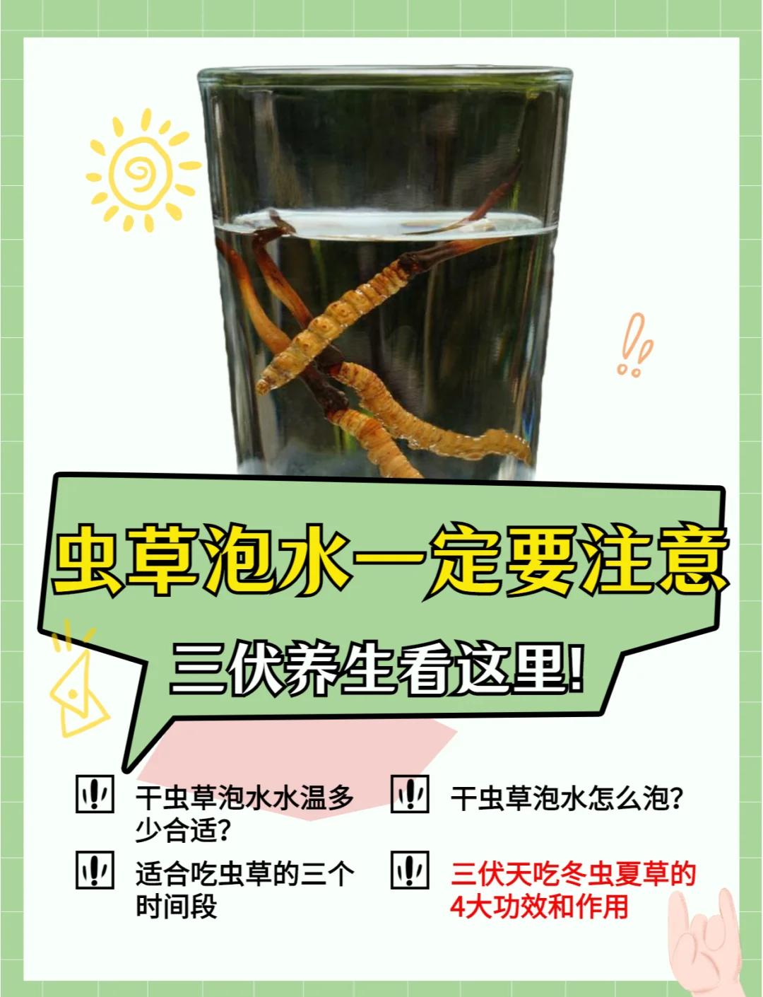 虫草花的功效与作用有哪些?