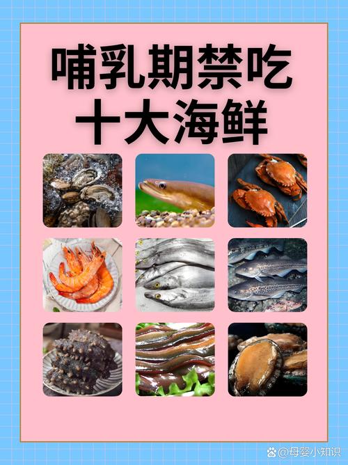 孕妇可以吃什么海鲜