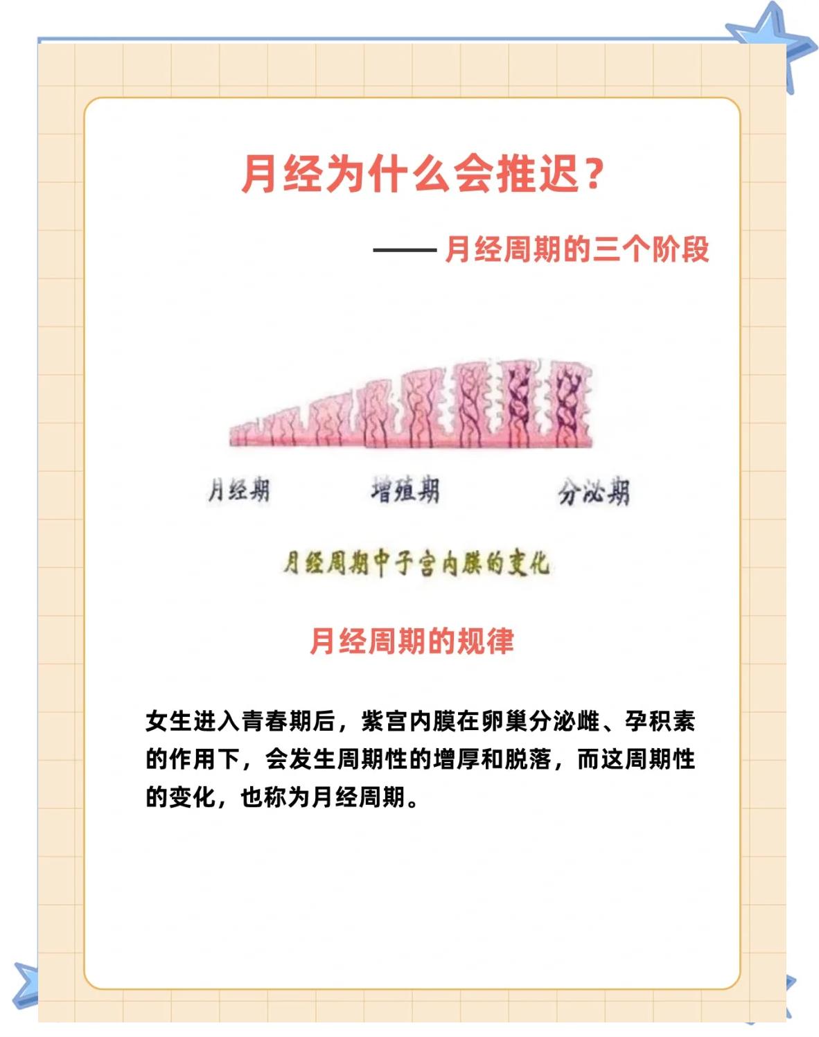 2026年1月4日 第31页