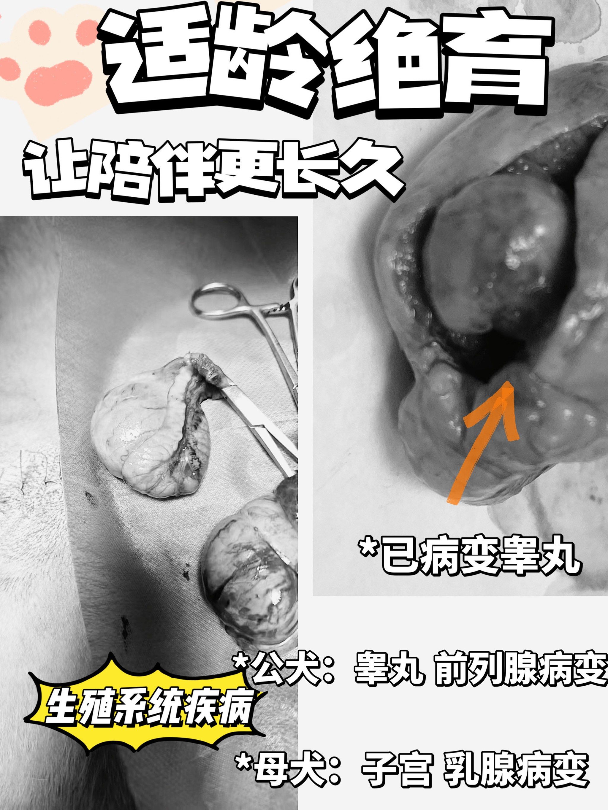 2026年1月4日 第30页