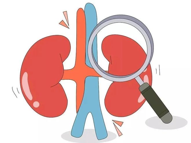 24小时蛋白尿的定量标准