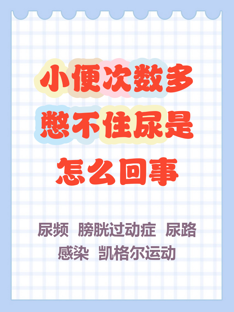 为什么老是想小便