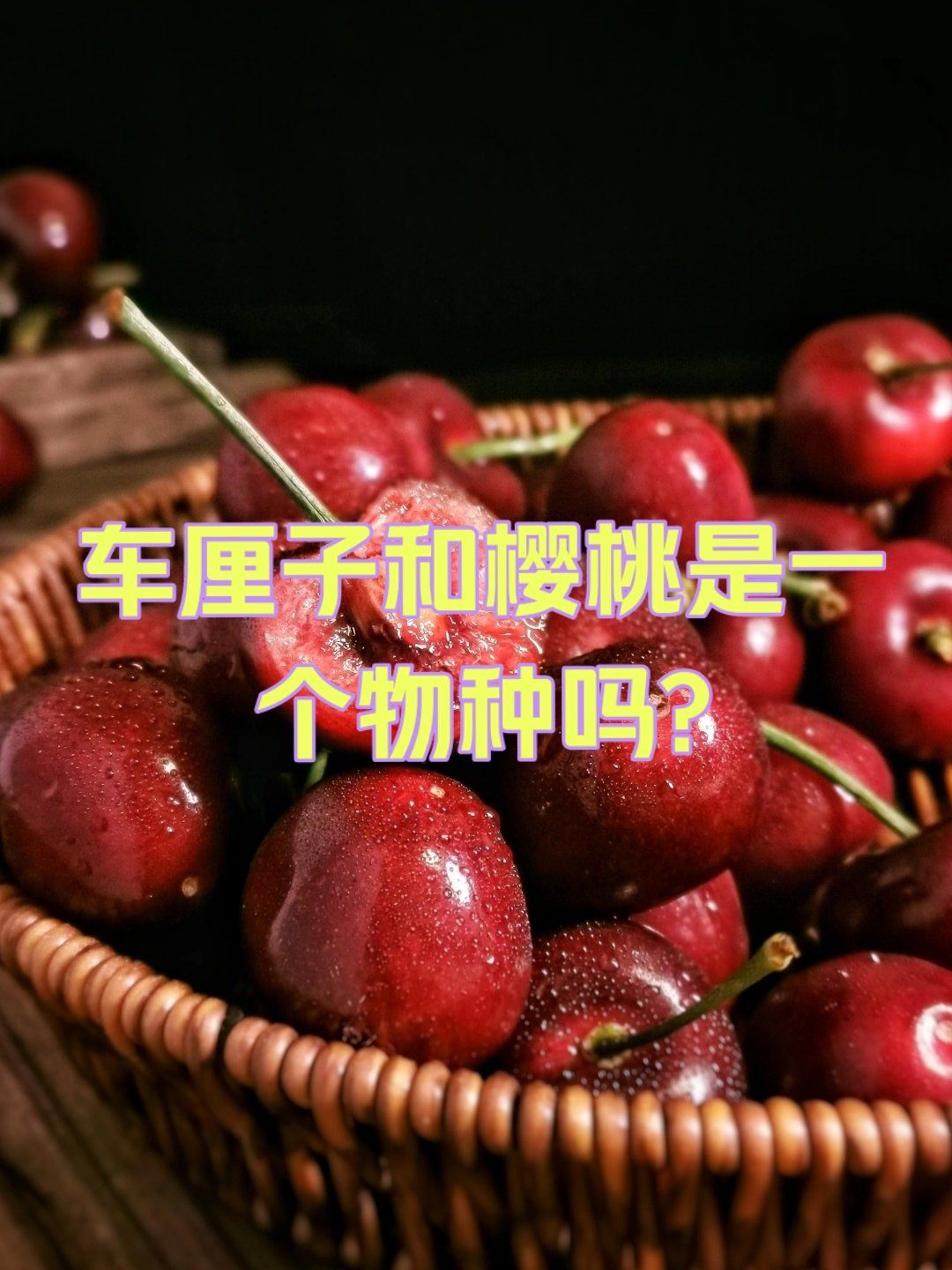 怀孕了可以吃车厘子吗?