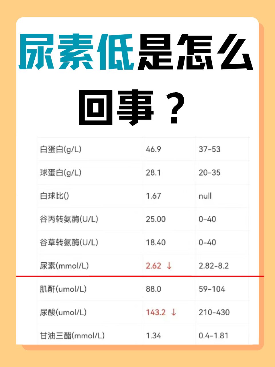 尿素氮偏高的原因有哪些