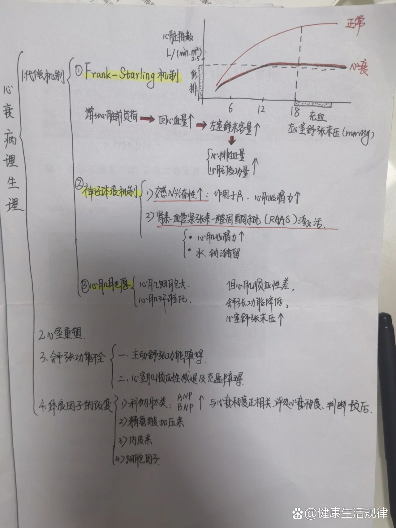 心力衰竭的NYHA分级