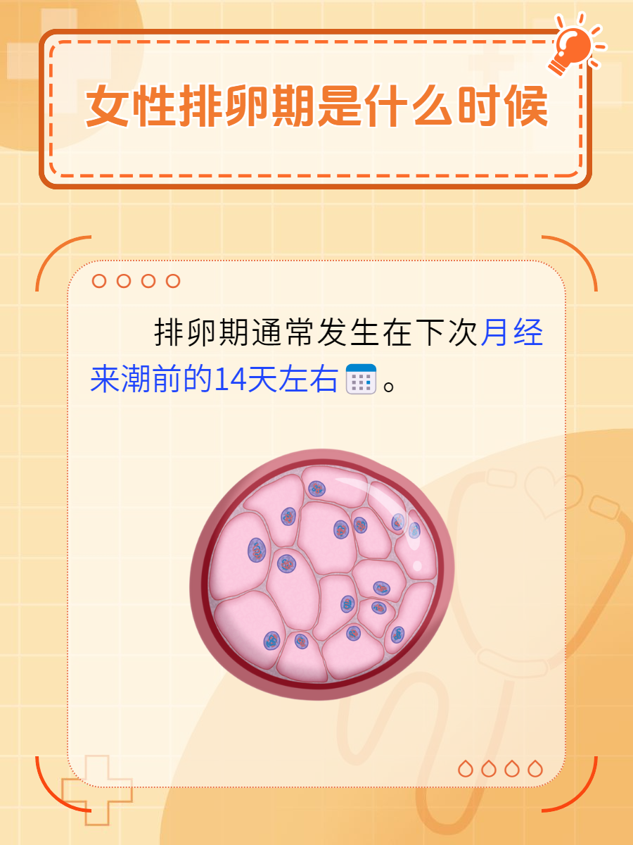 月经前一天排卵正常吗