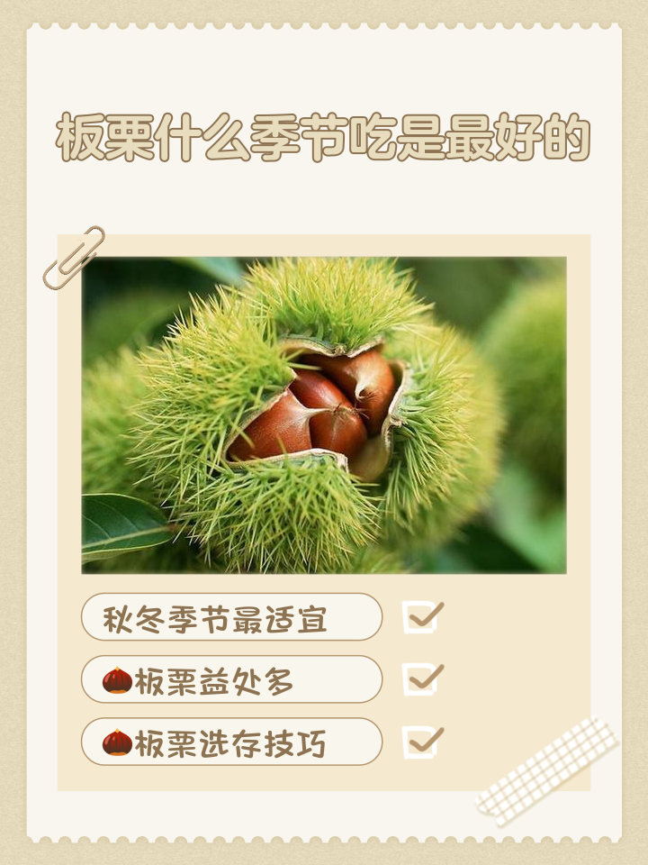 2026年1月4日 第19页