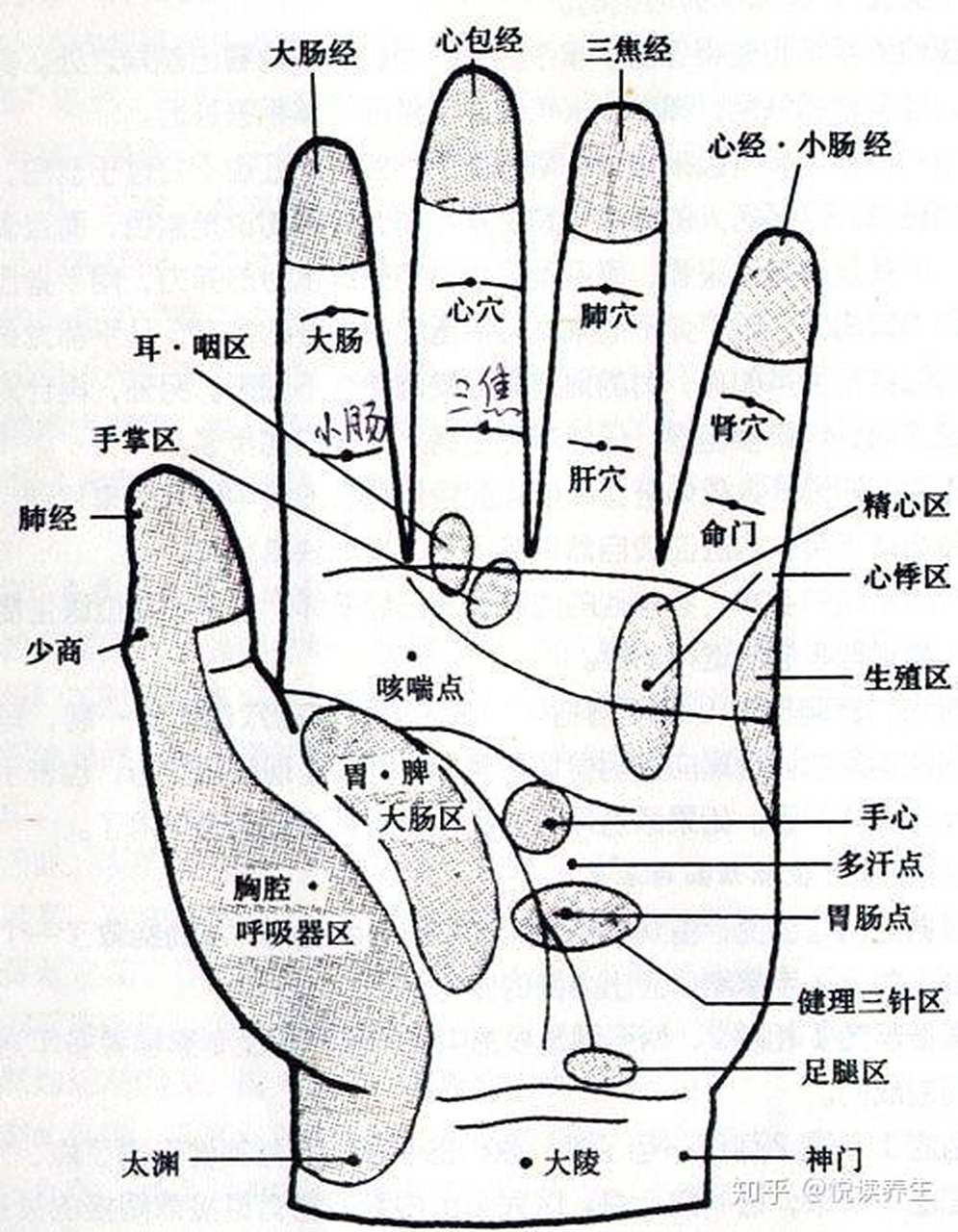 2026年1月4日 第17页