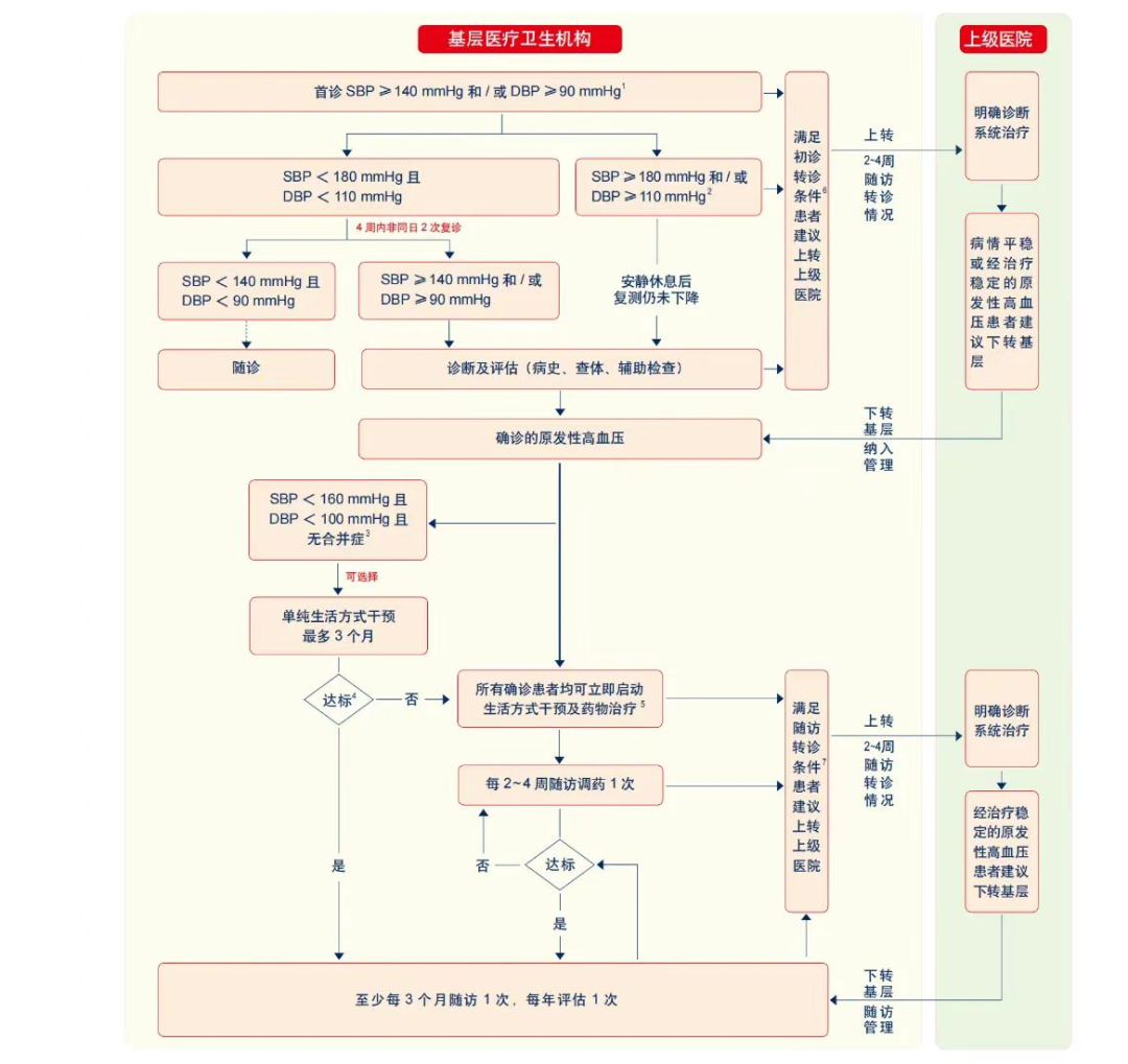原发性和继发性的区别