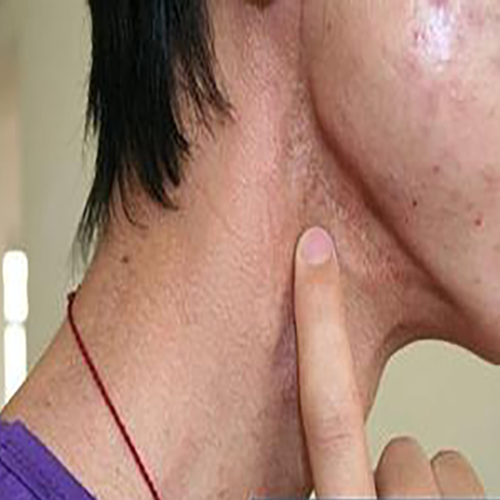 2026年1月4日 第16页