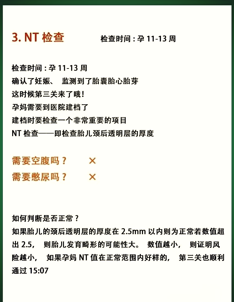 怀孕查nt是什么意思