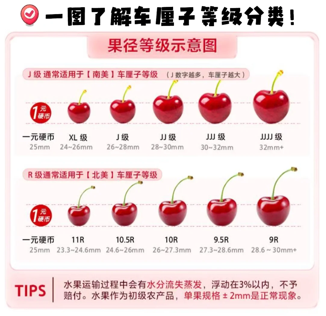 请问樱桃是几月份的水果?