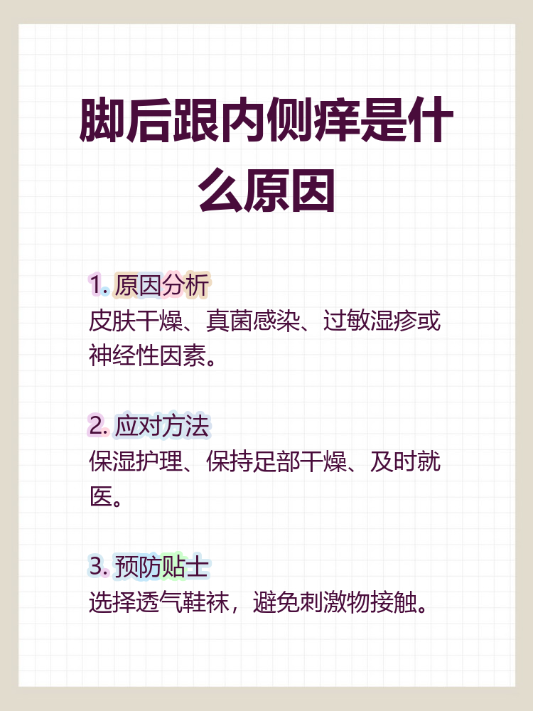 2026年1月5日 第46页