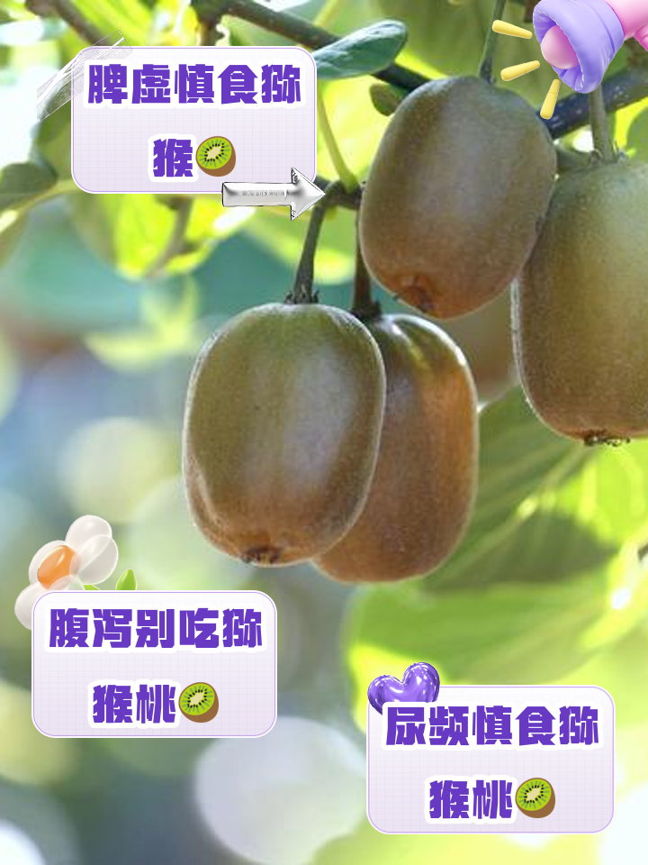 猕猴桃吃了上火吗