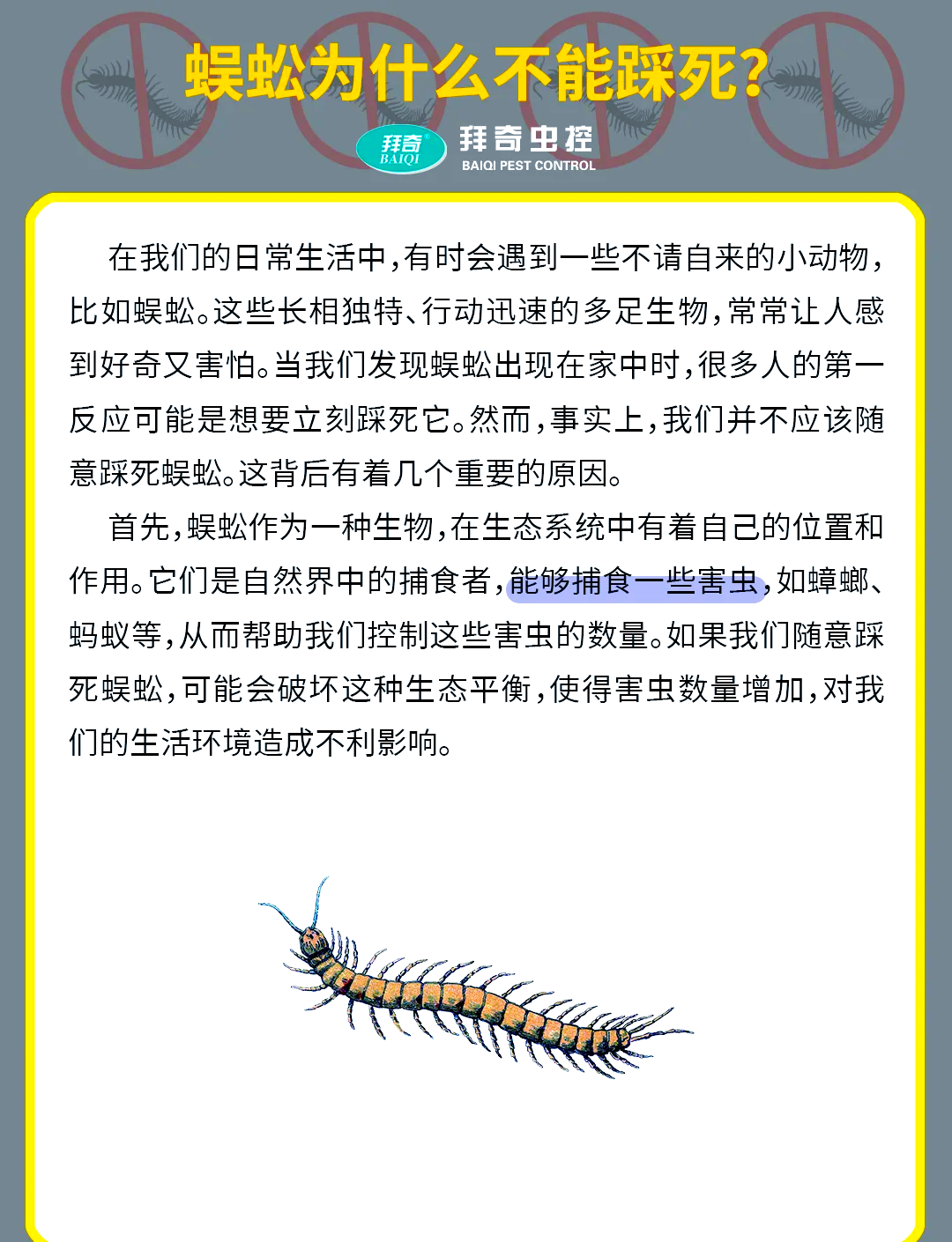 蜈蚣的功效与作用