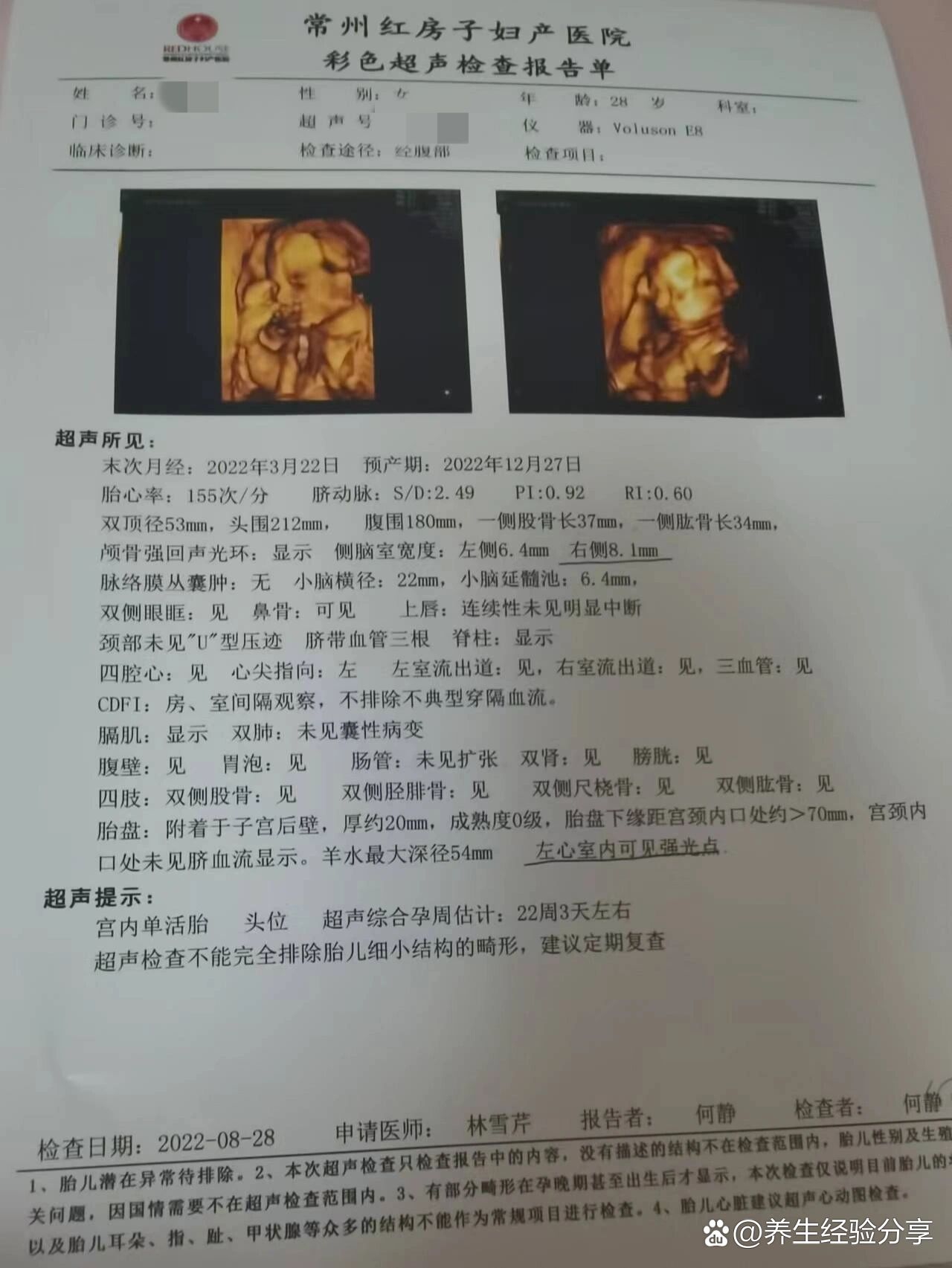 三维和四维有什么区别