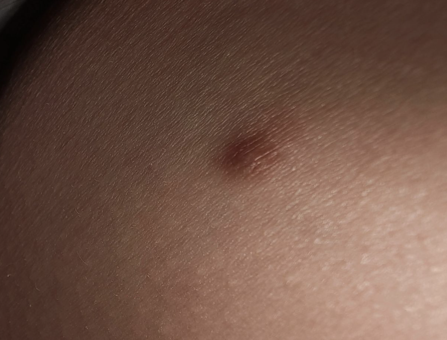 2026年1月5日 第23页