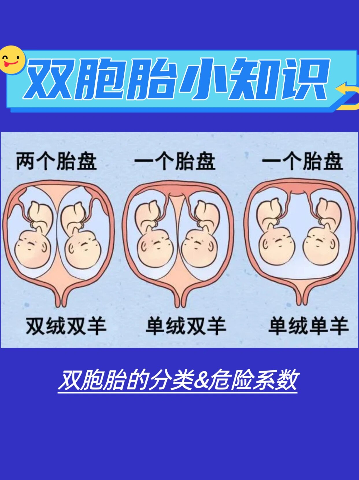 双胞胎怎么形成的???