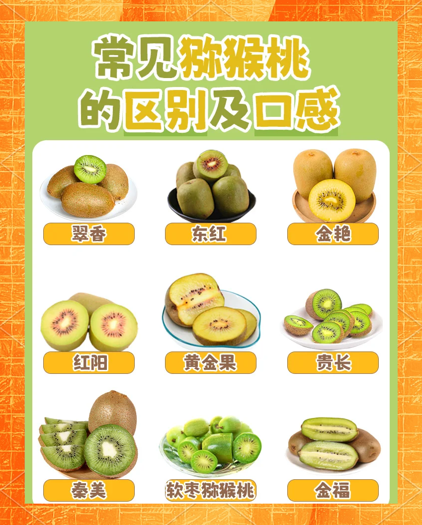 月经期间可以吃猕猴桃吗