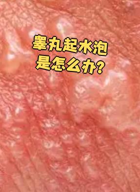 2026年1月5日 第21页