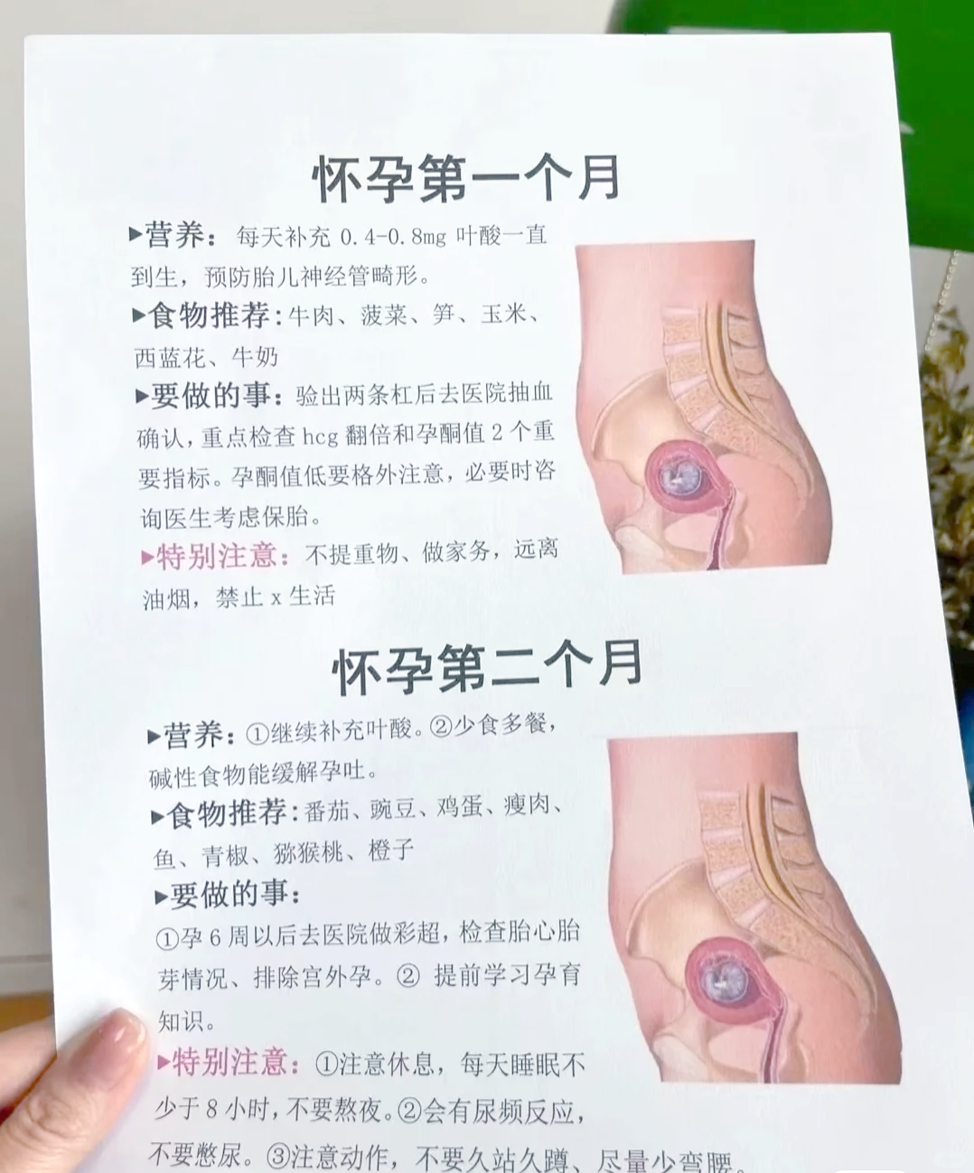 发现刚怀孕怎么办