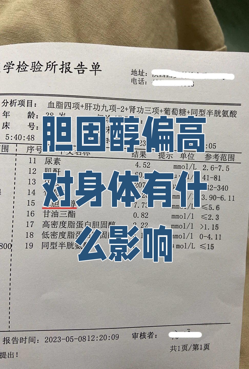 胆固醇高会怎样