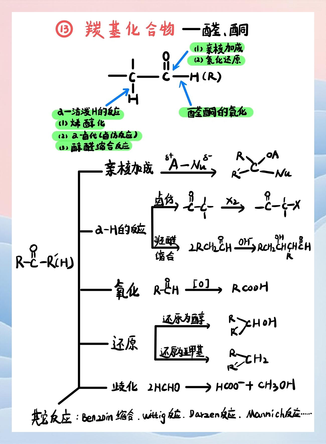 醛固酮的作用..