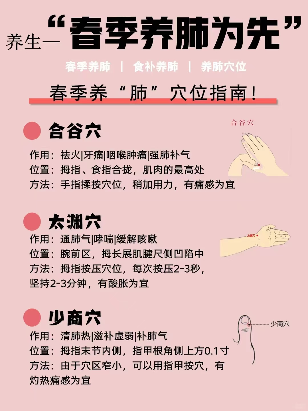 气虚肺虚怎么调理