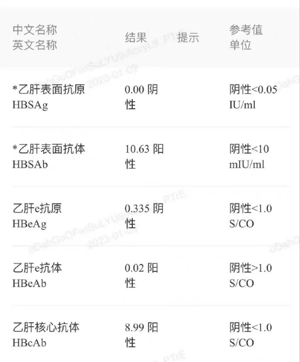 乙肝表面抗体定量1000正常吗