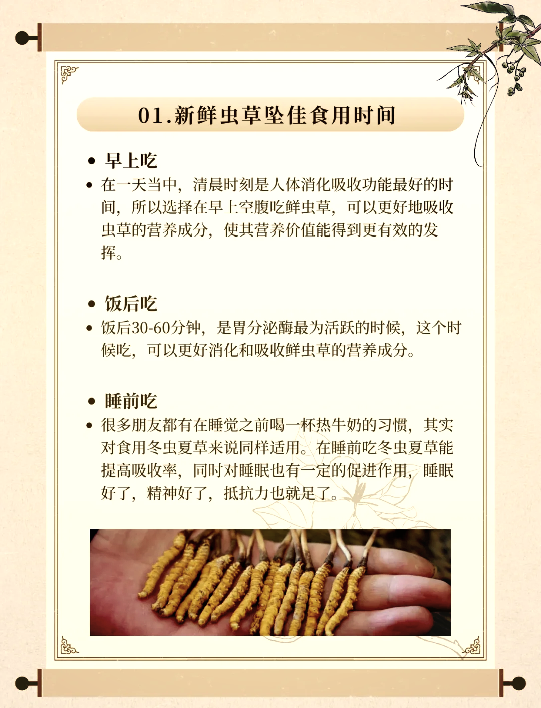 打虫药多久吃一次