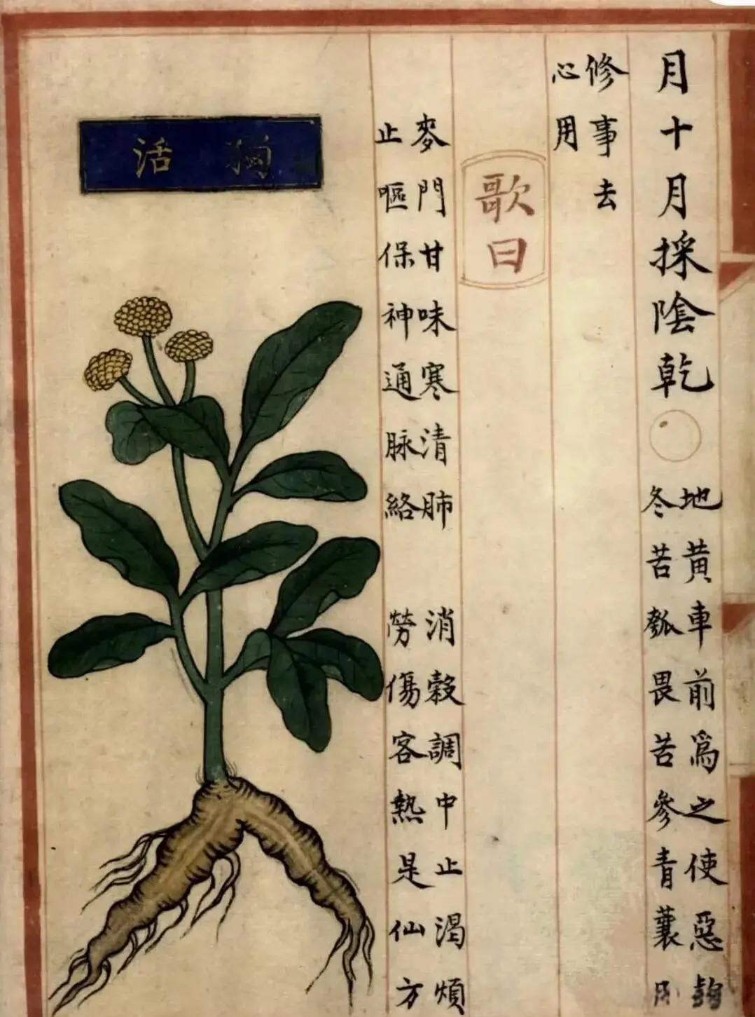 治疗骨刺的偏方