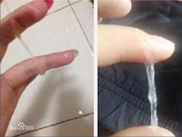 2026年1月6日 第27页