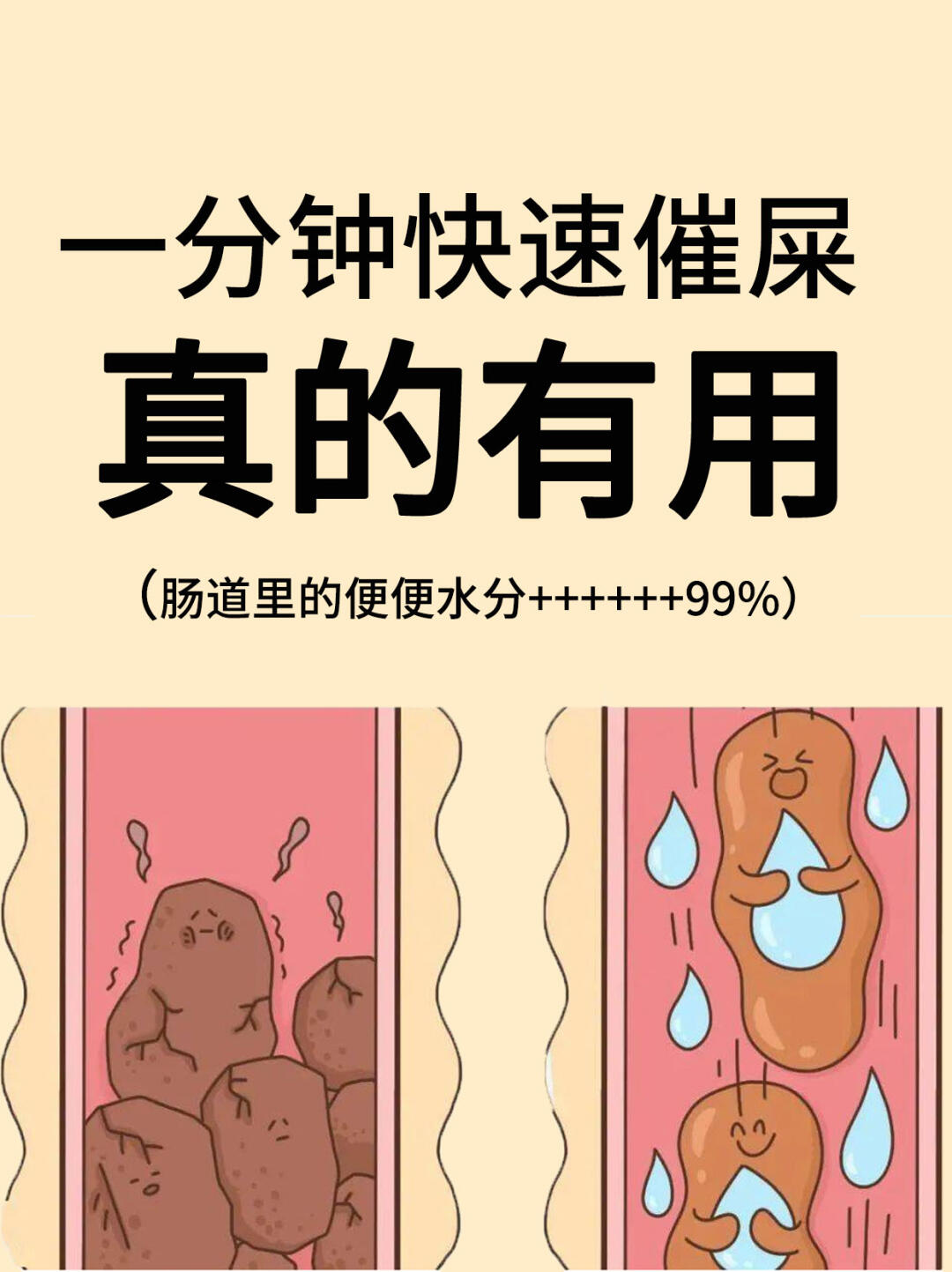 2026年1月6日 第22页